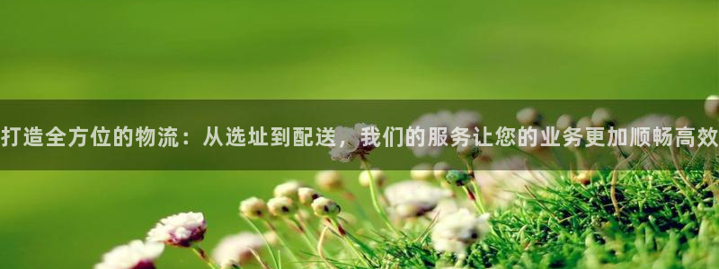 ,优游国际哪个最赚钱：打造全方位的物流：从选址到配送，我们的