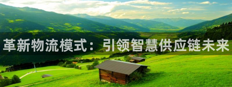 ,优游国际注册网页：革新物流模式：引