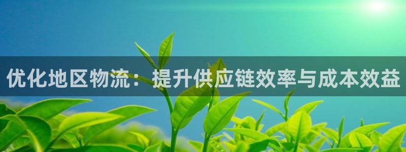 ,优游国际赌博被抓：优化地区物流：提升供应链效率与成本效益