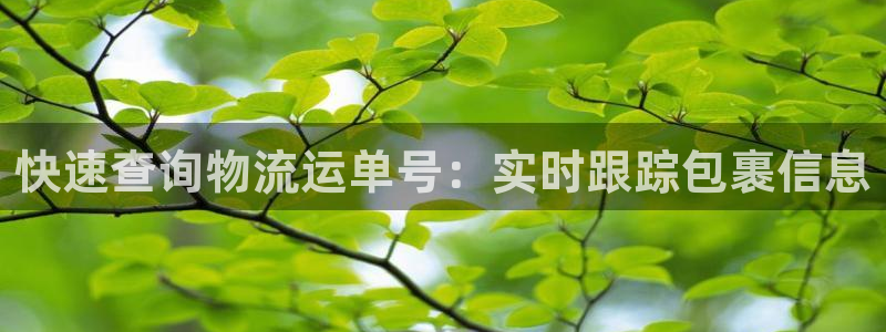 ,优游国际那个才是充值账号