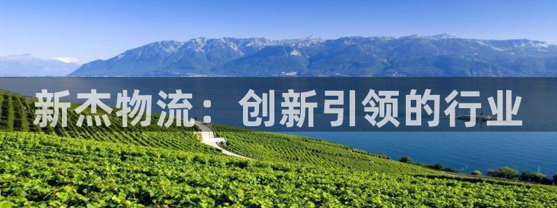 ,优游国际官网多少
