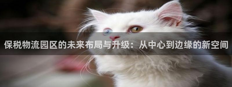 ,优游国际女王中奖记录查询