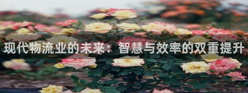,优游国际机器人是什么软件：现代物流业的未来：智慧与效率的双