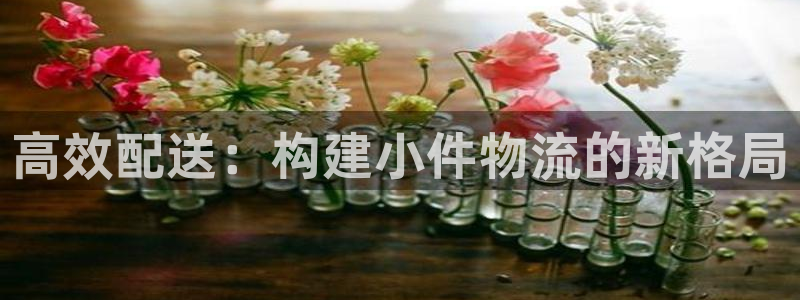 ,优游国际app注册地址：高效配送：