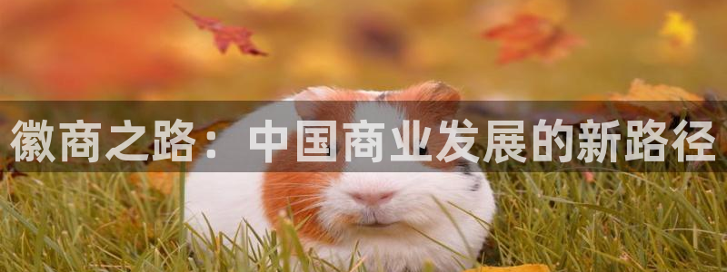 ,优游国际是啥：徽商之路：中国商业发