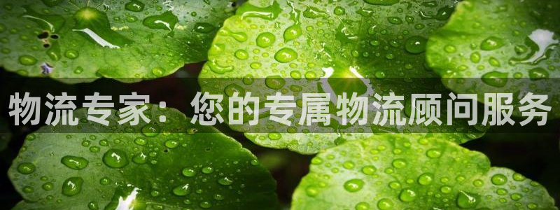 ,优游国际预测加拿大师准：物流专家：