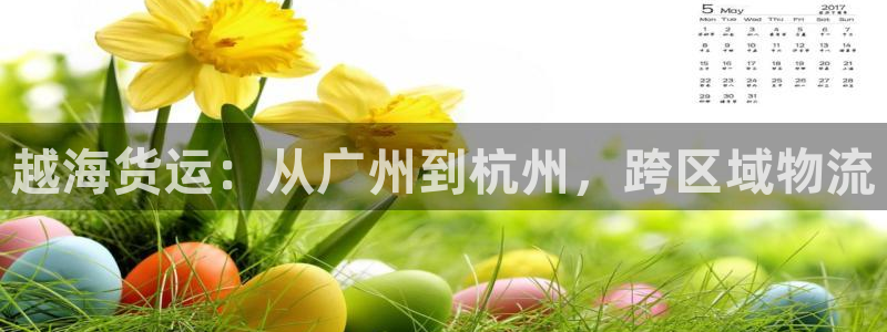 ,优游国际注册送：越海货运：从广州到