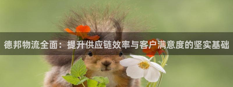 ,优游国际注册二维码：德邦物流全面：