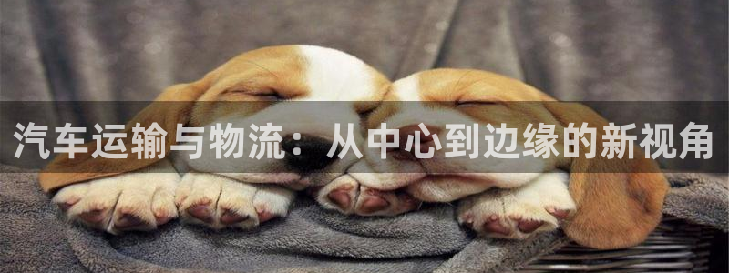 ,优游国际推广链接是多少：汽车运输与