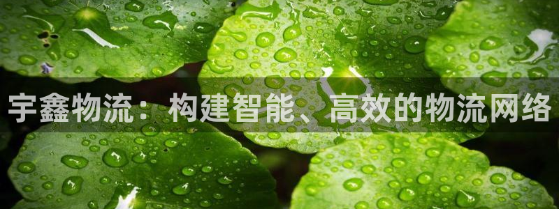 自行车,优游国际是什么意思：宇鑫物流