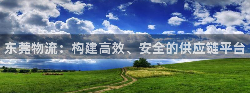 ,优游国际选28ng官网：东莞物流：