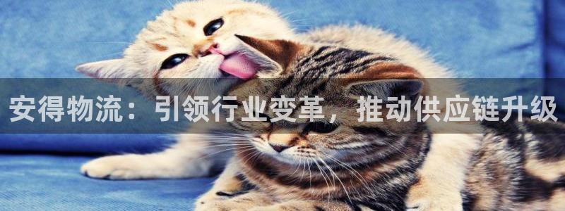 ,优游国际下载链接是多少：安得物流：