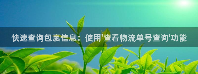 ,优游国际南宫娱乐官网：快速查询包裹