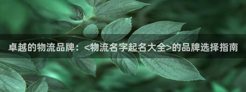 ,优游国际犯法吗：卓越的物流品牌：<物流名字起名大全>的品牌