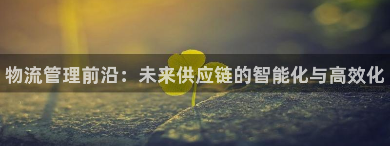 ,优游国际：物流管理前沿：未来供应链的智能化与高效化