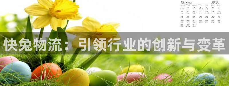 ,优游国际电子：快兔物流：引领行业的创新与变革