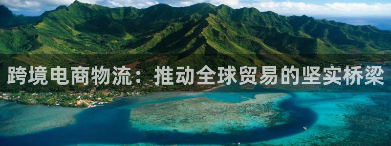 ,优游国际模拟:跨境电商物流:推动全