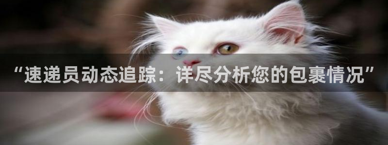 ,优游国际娱乐官网网页入口:“速递员