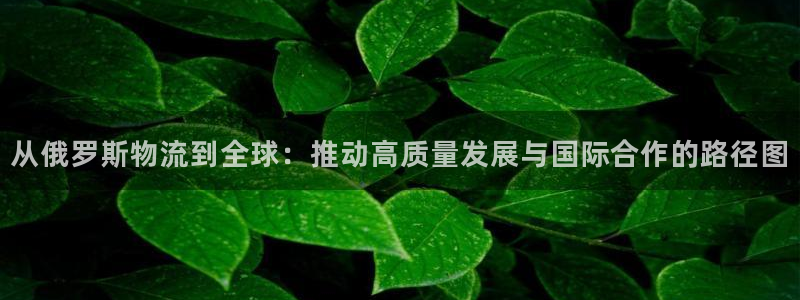 ,优游国际游戏