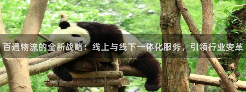 ,优游国际官网平台下载:百通物流的全