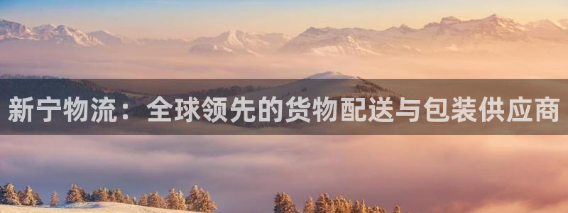 ,优游国际注册入口与教程:新宁物流: