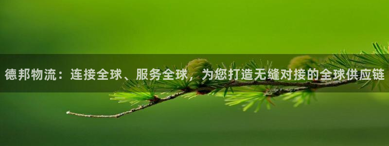 ,优游国际p扣除是什么意思:德邦物流