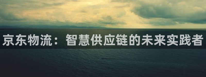 ,优游国际注册网页：京东物流：智慧供