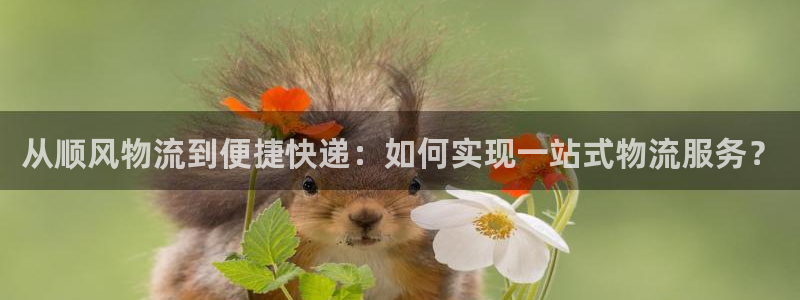 ,优游国际是正规软件吗：从顺风物流到