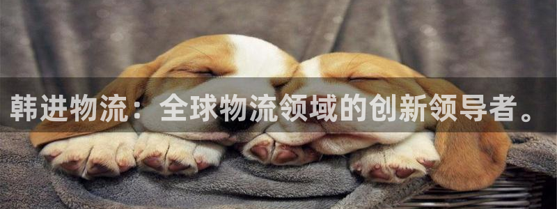 优游国际官网平台：韩进物流：全球物流领域的创新领导者。