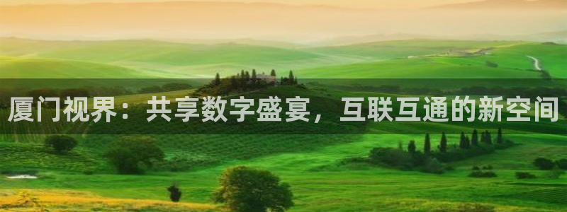 熊猫直播免费视频：厦门视界：共享数字盛宴，互联互通的新空间