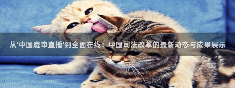 熊猫跳舞视频：从\'中国庭审直播\'到全面在线：中国司法改革的最新动态与成果展示