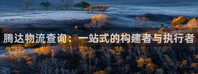 ,优游国际在线预测官网：腾达物流查询