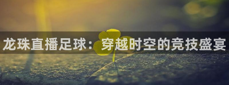 熊猫直播下载安装官方下载