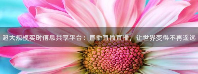 熊猫足球直播平台