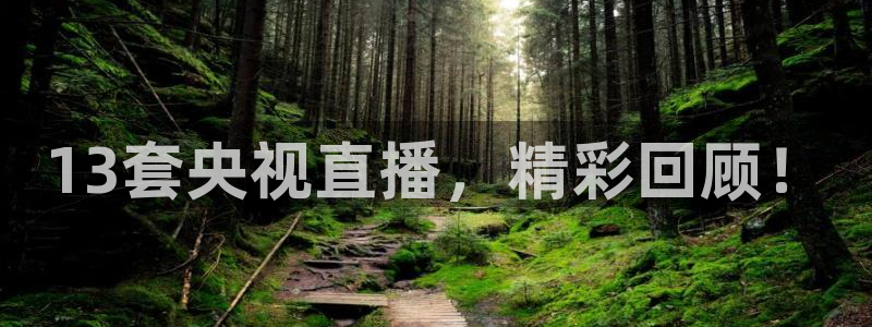 熊猫主播：13套央视直播，精彩回顾！