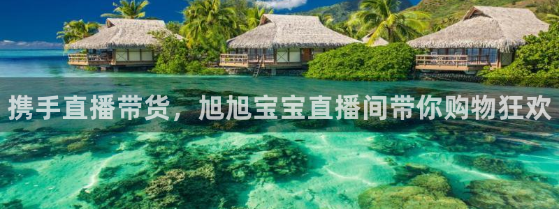 熊猫体育比赛直播：携手直播带货，旭旭宝宝直播间带你购物狂欢