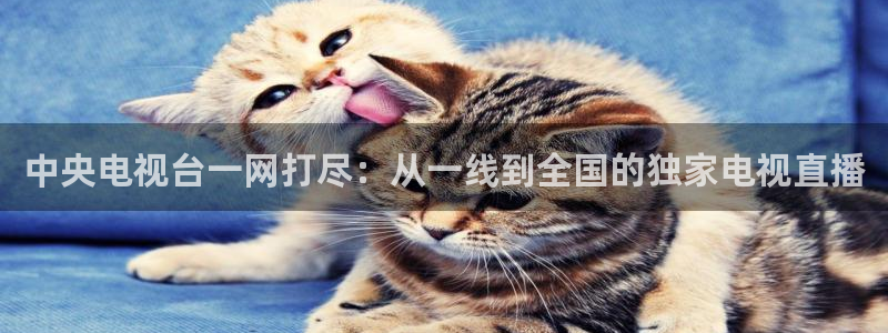 熊猫直播间：中央电视台一网打尽：从一线到全国的独家电视直播