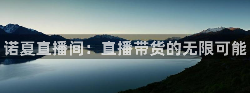 熊猫主播：诺夏直播间：直播带货的无限可能