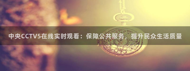 熊猫猫直播：中央CCTV5在线实时观看：保障公共服务，提升民众生活质量