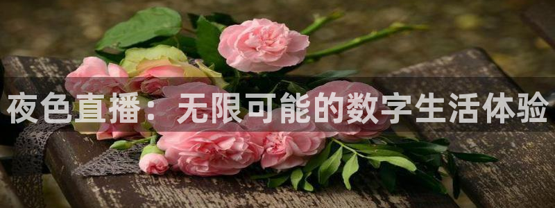 熊猫视频直播在线观看：夜色直播：无限可能的数字生活体验