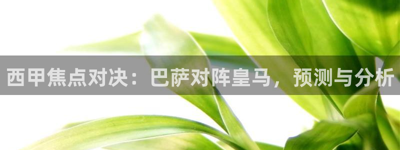 熊猫视频 直播：西甲焦点对决：巴萨对阵皇马，预测与分析