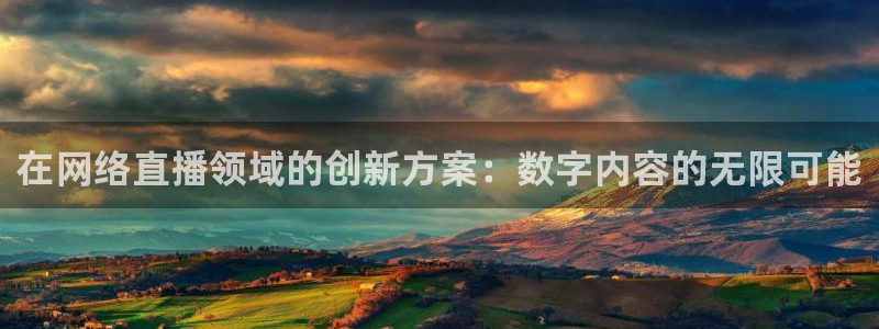 熊猫体育公园：在网络直播领域的创新方案：数字内容的无限可能