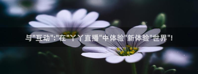 熊猫体育官网：与\