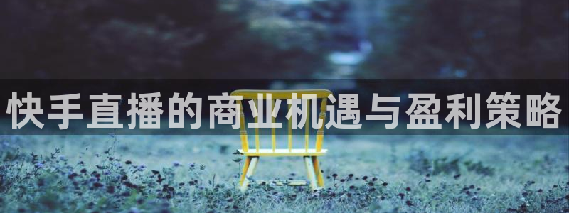 熊猫体育直播免费观看：快手直播的商业机遇与盈利策略