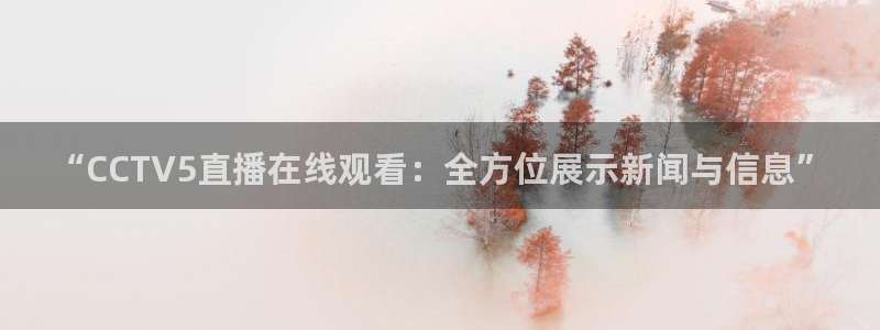 熊猫直播下载安装官方下载：“CCTV5直播在线观看：全方位展示新闻与信息”