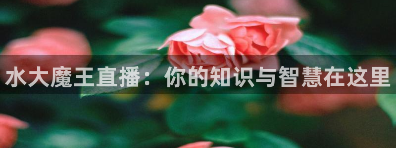 熊猫视频直播在线观看：水大魔王直播：你的知识与智慧在这里