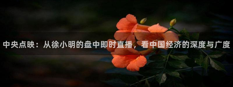 熊猫直播app：中央点映：从徐小明的盘中即时直播，看中国经济的深度与广度