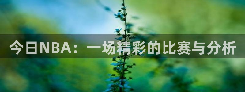 下载熊猫直播：今日NBA：一场精彩的比赛与分析